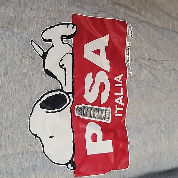 PEANUTS SNOPY PISA Italia Girls Large Short-Sleeved T-Shirt Size LG Gray and Red - Picture 3 of 5
